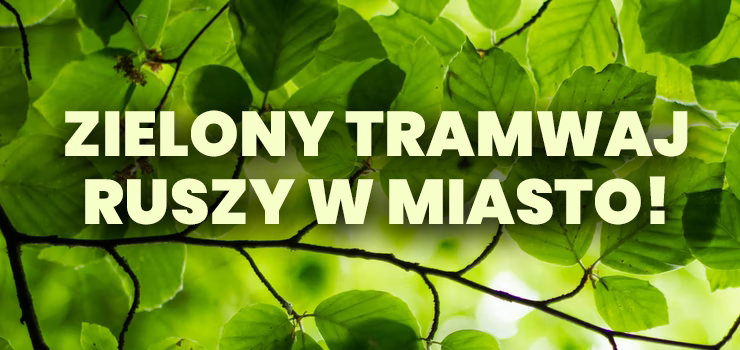 Zielony Tramwaj ruszy w miasto