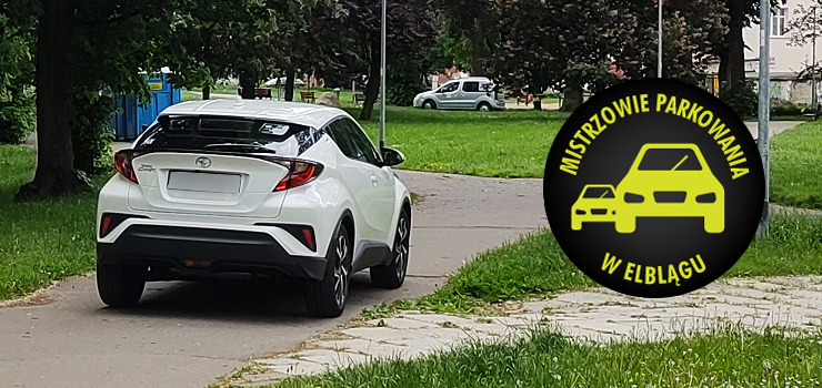 Mistrzowie parkowania w Elblągu (część 155)