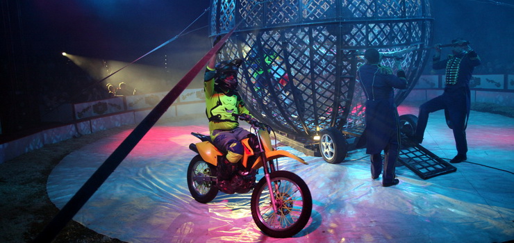 Wiosna z Cyrkiem Zalewski w Elblągu! - wygraj bilety