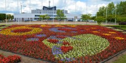 Takiego kwietnika w Elbl�gu jeszcze nie by�o