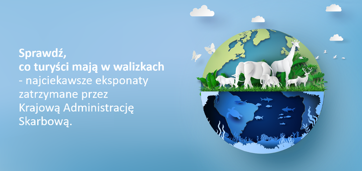 Jak nie zostać wakacyjnym przemytnikiem