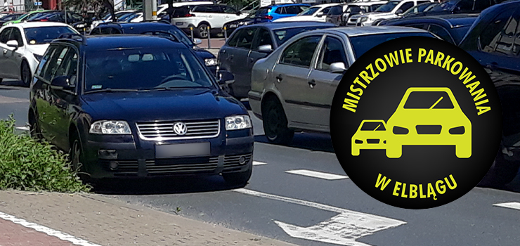 Mistrzowie parkowania w Elblągu (część 162)