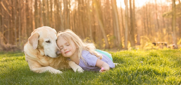 Wyjazdy urlopowe Polaków a opieka nad zwierzętami - zobacz wyniki badań