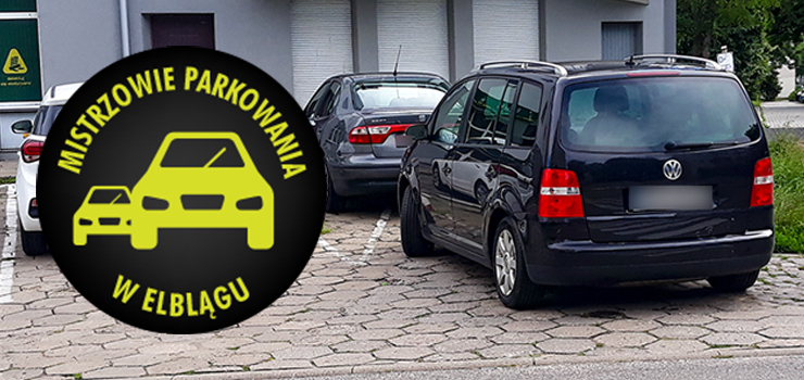 Mistrzowie parkowania w Elblągu (część 166)