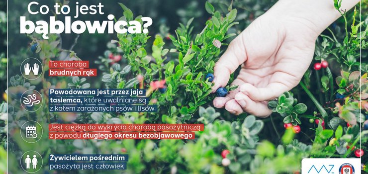 Niewidoczne zagrożenie - bąblowica