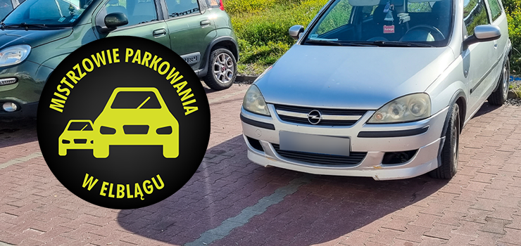 Mistrzowie parkowania w Elblągu (część 169)