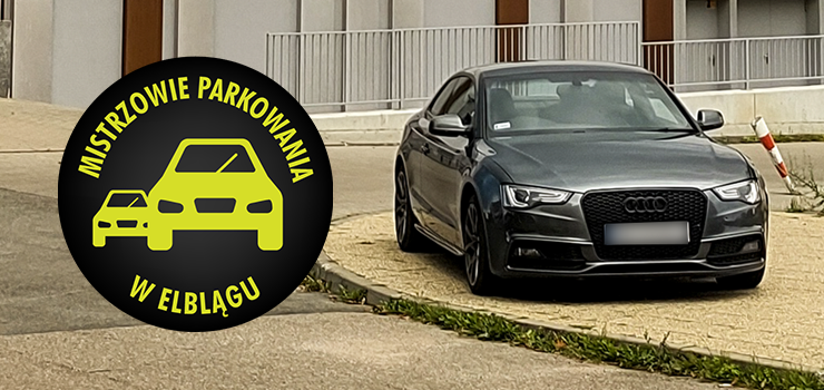 Mistrzowie parkowania w Elblągu (część 170)