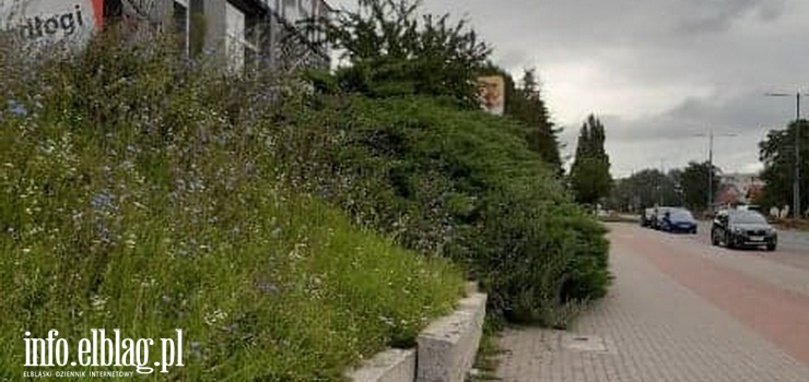 „Czy nikt tego nie widzi?” Dopiero po interwencji INFO Urząd zainteresował się sprawą