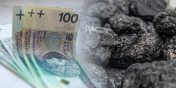 Truskolaski o dodatku węglowym: 3 tys. zł nie rozwiążą problemu