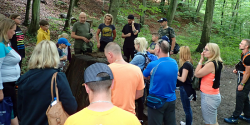 Wakacyjne spacery z le�nikiem