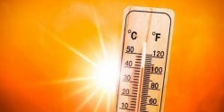 Nadci�ga kolejna fala upa��w. Na kierowc�w wysokie temperatury dzia�aj� jak alkohol. Jak dba� o siebie w trasie?