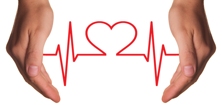 Bezpatna akcja kardiologiczna ju 18 sierpnia w Elblgu