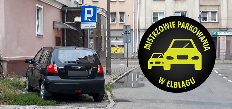 Mistrzowie parkowania w Elblągu (część 179)