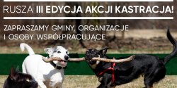 Jak rozwiza problem bezdomnoci zwierzt w Polsce? Istnieje tylko jedno skuteczne rozwizanie