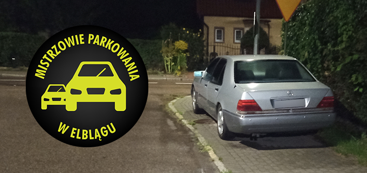 Mistrzowie parkowania w Elblągu (część 181)