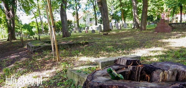 Czytelniczka: "Codzienne picie na nagrobkach i libacje". To dzieje się w lapidarium przy ul. Sadowej?