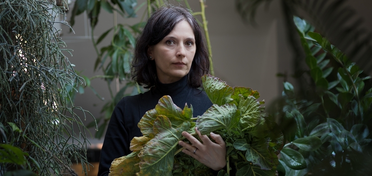 "Drapieżne serca" w Galerii EL