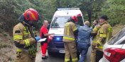 Wjecha autem w drzewo-zobacz zdjcia 