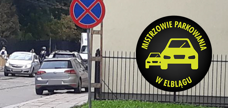 Mistrzowie parkowania w Elblągu (część 188)