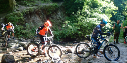 Rowerowe spacery z le�nikiem