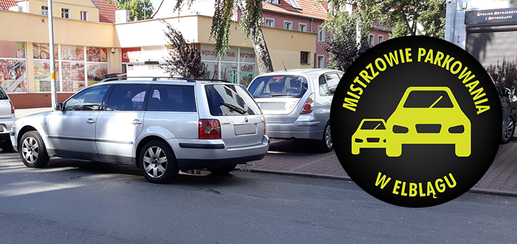 Mistrzowie parkowania w Elblągu (część 191)
