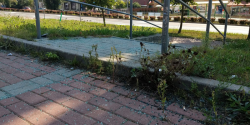Og�lna: Uwaga, na rozbite szk�o. "Ludzie omijaj� je od miesi�cy, kto� tu wreszcie sprz�tnie?".