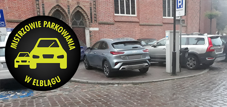 Mistrzowie parkowania w Elblągu (część 194)