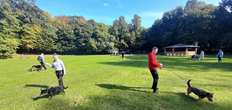 Nie ma złej pogody na spacer z psem ze schroniska