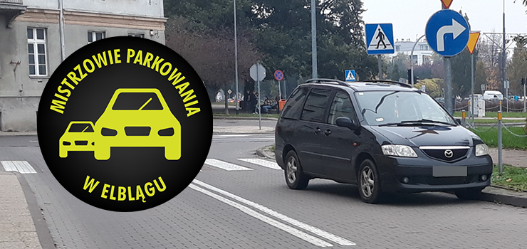 Mistrzowie parkowania w Elblągu (część 196)
