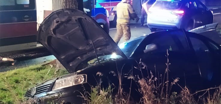 Samochód osobowy wpadł na drzewo 