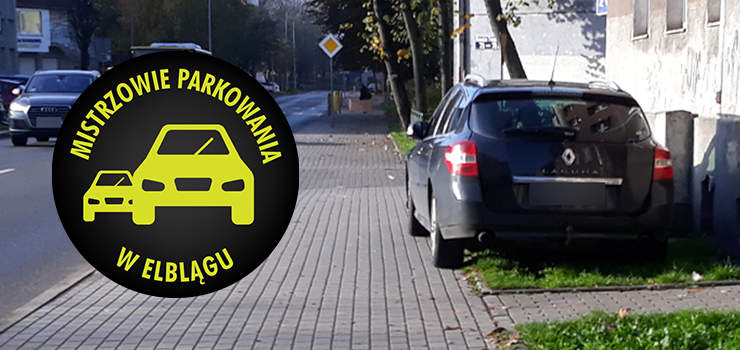Mistrzowie parkowania w Elblągu (część 197)