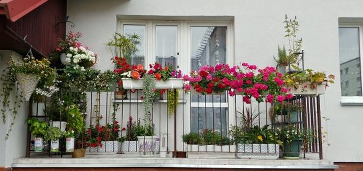 To najpikniejsze balkony w Elblgu
