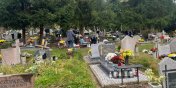 Wszystkich Świętych okazją do odwiedzenia bliskich na cmentarzach - zobacz zdjęcia z Dębicy