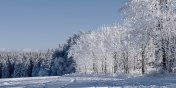 Podstawowe informacje nt. akcji zima - sezon 2022/2023