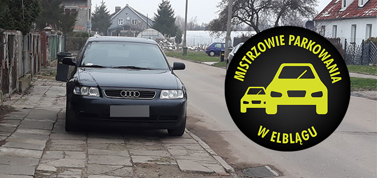 Mistrzowie parkowania w Elblągu (część 206)