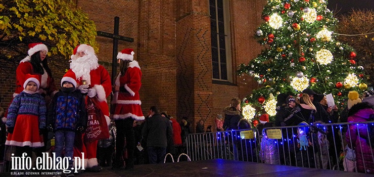 Elbląg: Coraz bliżej święta. Na Starym Mieście rozbłysła choinka (zobacz zdjęcia)