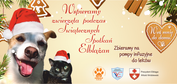 Wspierajmy czworonogi podczas Świątecznych Spotkań