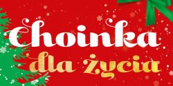 Choinka dla �ycia�