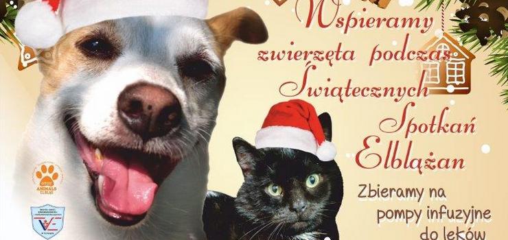 8.906,34 zł zebrane dla schroniska