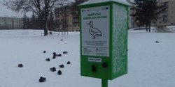 Czytelniczka: Kaczkomaty w elblskich parkach s napeniane, czy to tylko atrapy?