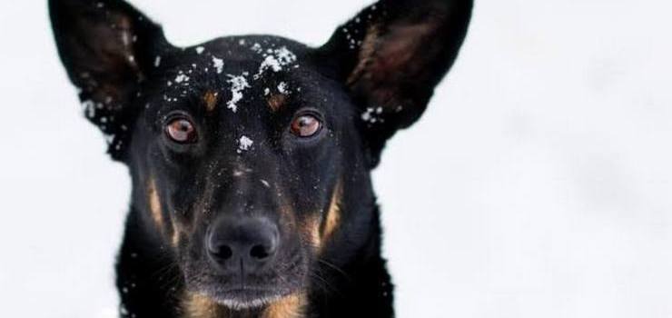 Kto w końcu pokocha Tinę?