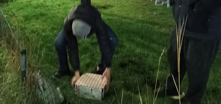 Mandat za używanie fajerwerków