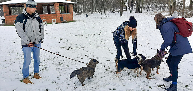 Dziękujemy Wam za udział w Noworocznym Biegu na 6 Łap