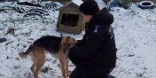 Matka i crka na acuchu miay straszne ycie! Teraz szukaj wsplnego kochajcego domu! (film)