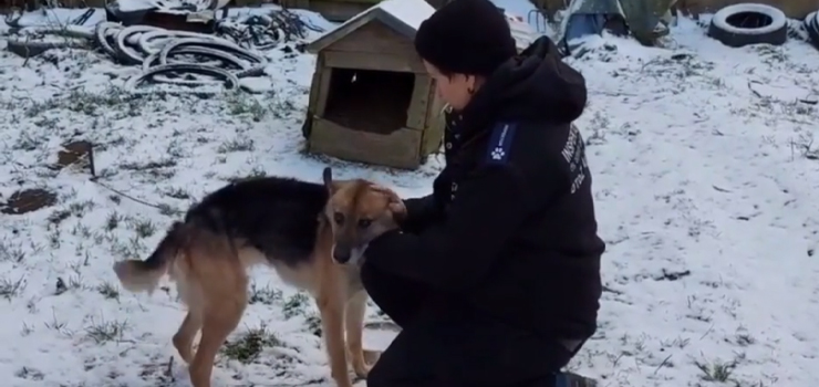 Matka i córka na łańcuchu miały straszne życie! Teraz szukają wspólnego kochającego domu! (film)