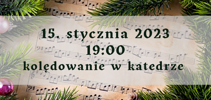 Kolędowanie w katedrze