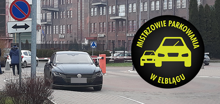 Mistrzowie parkowania w Elblągu (część 221)