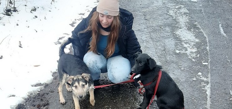 Wyprowadź na spacer bezdomnego psa. Zapraszamy na Lutowy Bieg na 6 Łap