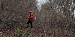 Trwa oczyszczanie Kolei Nadzalewowej. Wiosn� pojad� t�dy drezyny rowerowe
