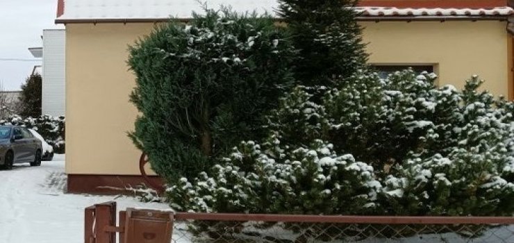 Mandat za brak numeru porządkowego